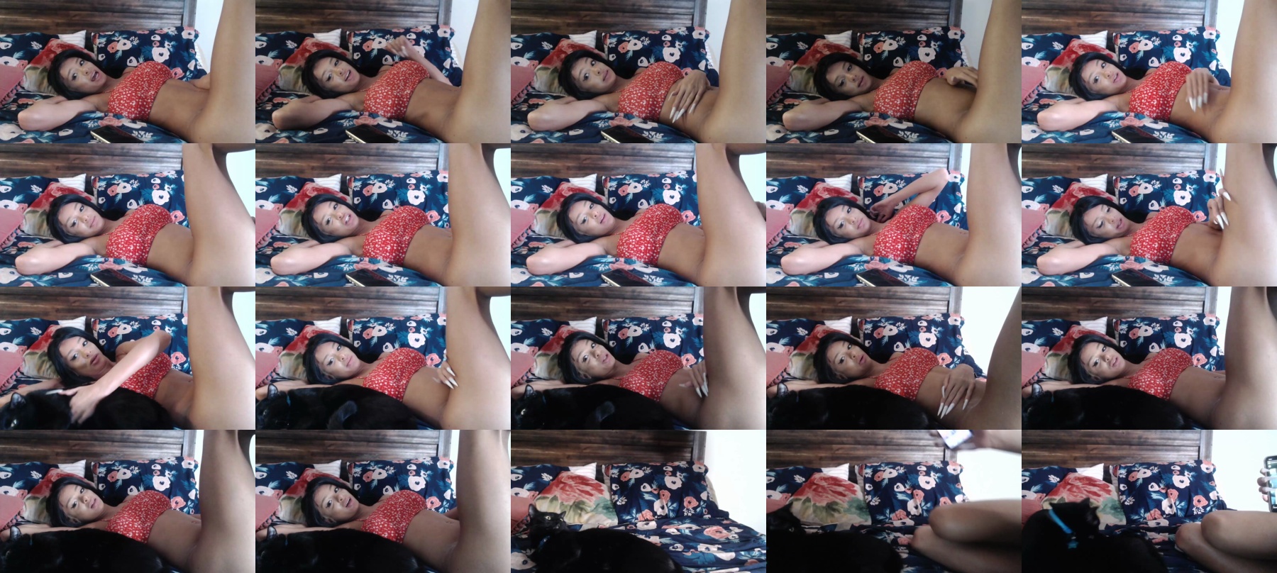 Bigdicktrannynicole  22-03-2021
